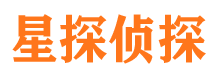 理塘侦探公司